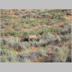 20060817_16Arches_014 copia.jpg